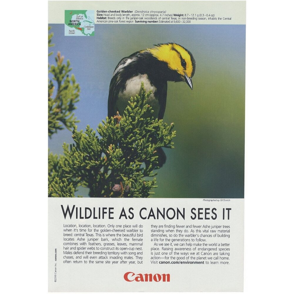 2010 Canon Camera Photography Full Page Print Ad Original Golden Checked Warber
